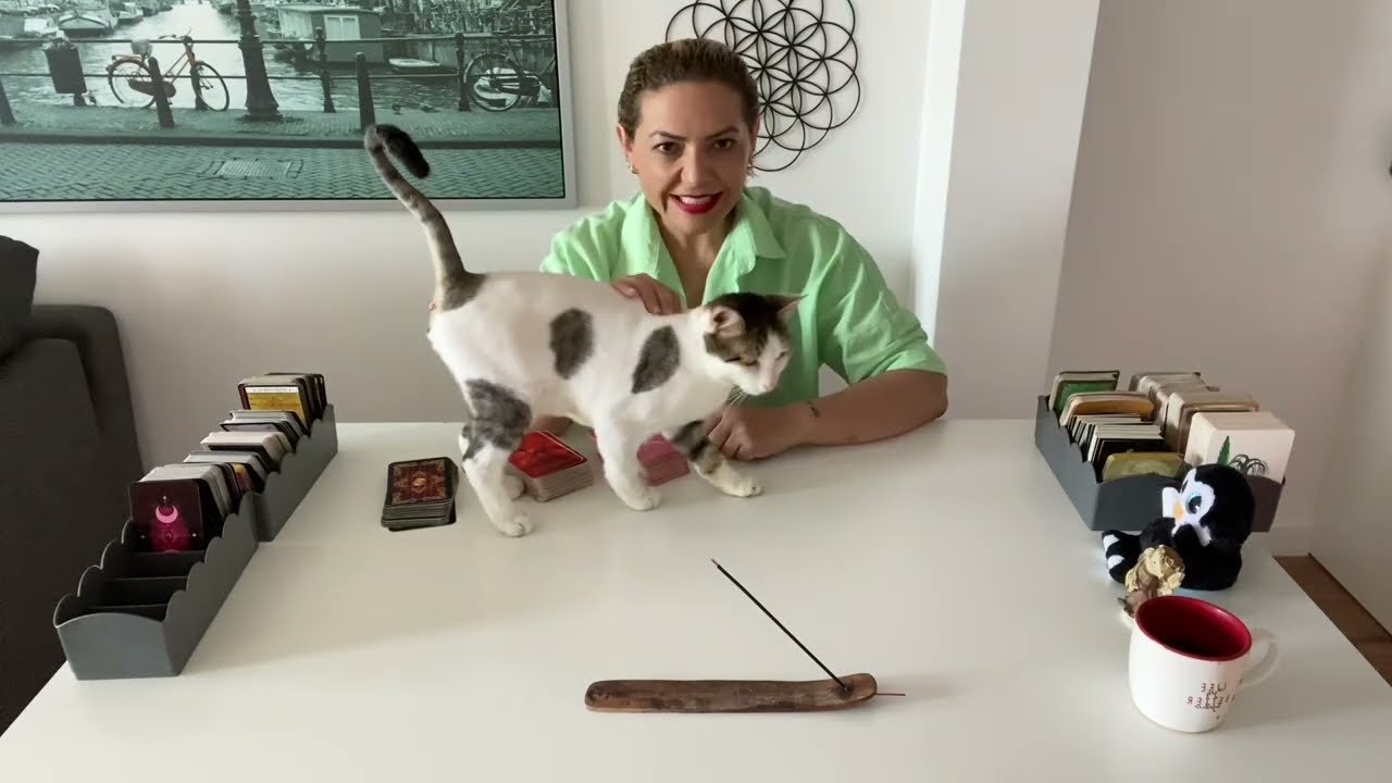 No momento, você está visualizando 🔮AKLINDAKİ KİŞİ SENİ SEVİYOR MU? ÖZLÜYOR MU? +FİDEL ŞOV 😻#tarot #yasakaşktarotaçilimi #aşk#aklımdaki