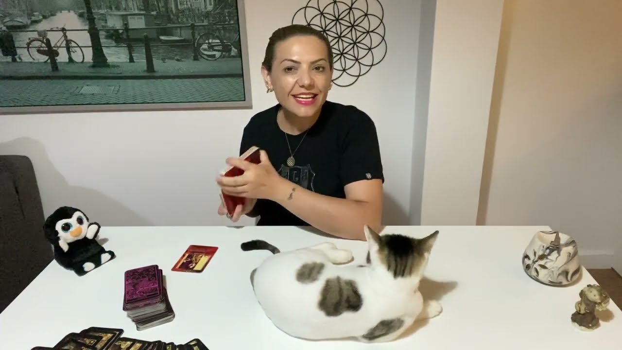 No momento, você está visualizando 🔮AKLINDAKİ KİŞİNİN SENİNLE İLGİLİ NİYETİ NE? #tarot #aklımdakikişitarot #yasakaşktarotaçilimi #fal