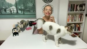 Leia mais sobre o artigo 🔮AKLINIZDAKİ KİŞİNİN SİZİNLE İLGİLİ PLANI NE ? #tarot #aklımdakikişitarot #yasakaşktarotaçilimi