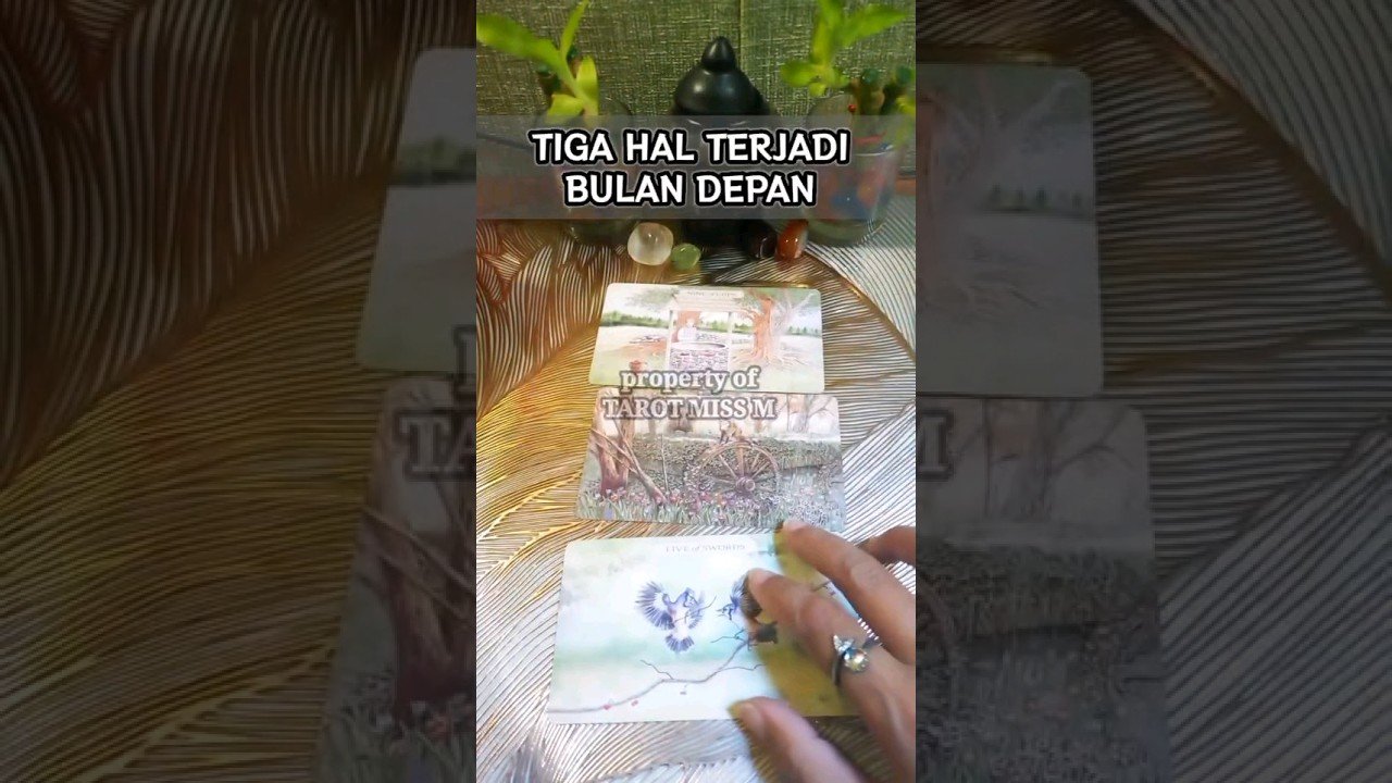 No momento, você está visualizando PERSONAL READING WAJIB BERBAYAR INFO DI VIDEO  #short #shorts #shortvideo #tarot #tarotreading