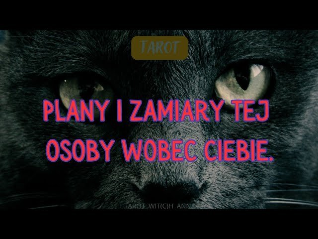 No momento, você está visualizando 🍄Plany i zamiary tej osoby wobec Ciebie.🍄 #tarot #wybierzgrupę #wybierzkartę #wybierzstosik
