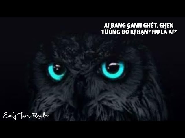 No momento, você está visualizando Tarot | 🧿 AI ĐANG GANH GHÉT, GHEN TUÔNG,ĐỐ KỊ BẠN? HỌ LÀ AI?