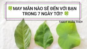 Leia mais sobre o artigo Tarot chọn tụ: MAY MẮN NÀO SẼ ĐẾN VỚI BẠN TRONG 7 NGÀY TỚI? 🍀🍀🍀