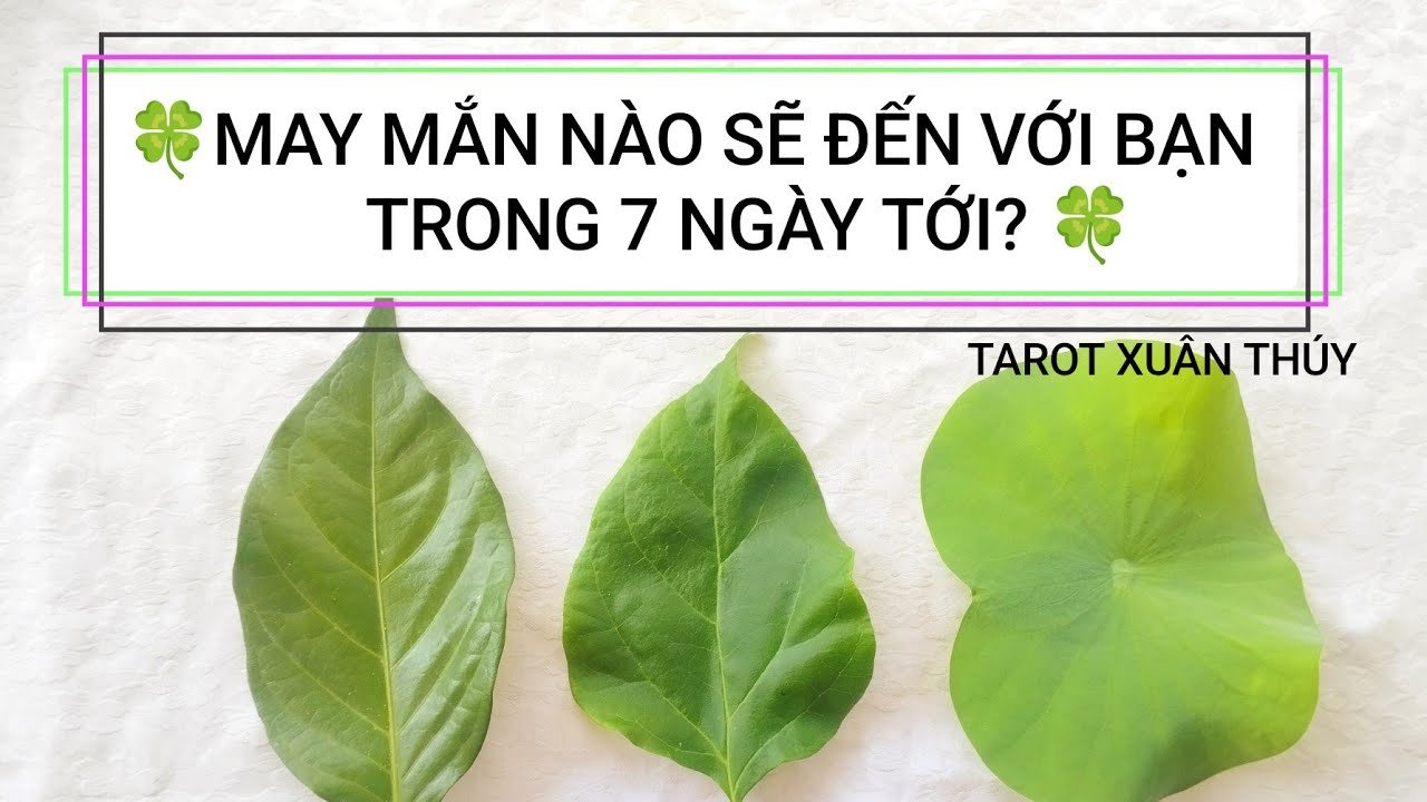 No momento, você está visualizando Tarot chọn tụ: MAY MẮN NÀO SẼ ĐẾN VỚI BẠN TRONG 7 NGÀY TỚI? 🍀🍀🍀