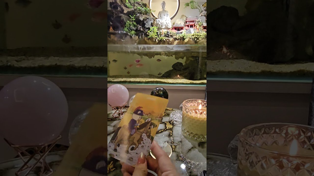 No momento, você está visualizando Tarot / Họ có nhớ bạn 💜