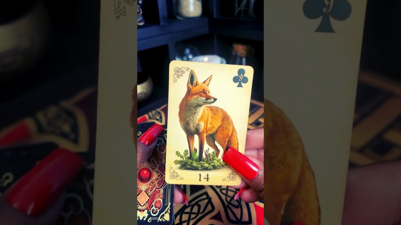 No momento, você está visualizando tarot revela o que vai acontecer na sua vida afetiva | Tarot #shorts #tarot #tarotdehoje