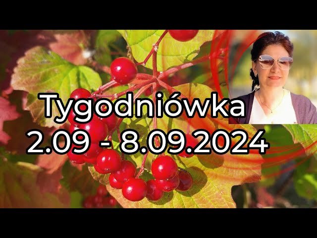 No momento, você está visualizando Tarot🥰 Tygodniówka 2.09 – 8.09.2024🥰 Wszystkie znaki zodiaku🥰