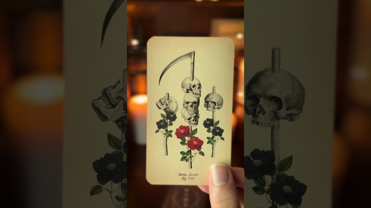 No momento, você está visualizando Your Tarot Message Today ❤️‍🩹 #tarot #tarotoftheday #tarotreading