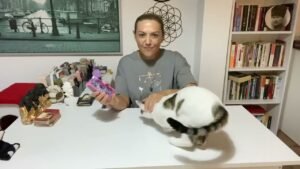 Leia mais sobre o artigo 🔮AKLINDAKİ KİŞİNİN SENİNLE İLGİLİ PLANI NE ? #tarot #aklımdakikişitarot #tarotacilimi #tarotfali