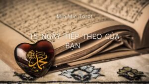 Leia mais sobre o artigo CHỌN 1 TỤ BÀI: 15 NGÀY TIẾP THEO CỦA BẠN