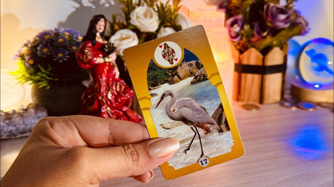 No momento, você está visualizando Em 7 DIAS tem NOVIDADES pra VC! Descubra TUDO♥️🪭🌹