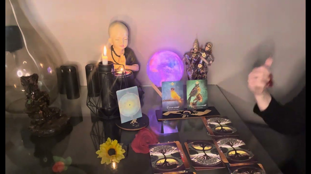 No momento, você está visualizando O VE BEN ♥️🔥♥️TAROT ACILIMI