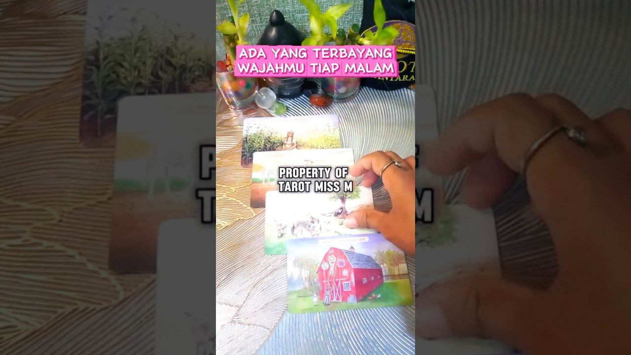 No momento, você está visualizando PERSONAL READING WAJIB BERBAYAR INFO DI VIDEO  #short #shorts #shortvideo #tarot #tarotreading