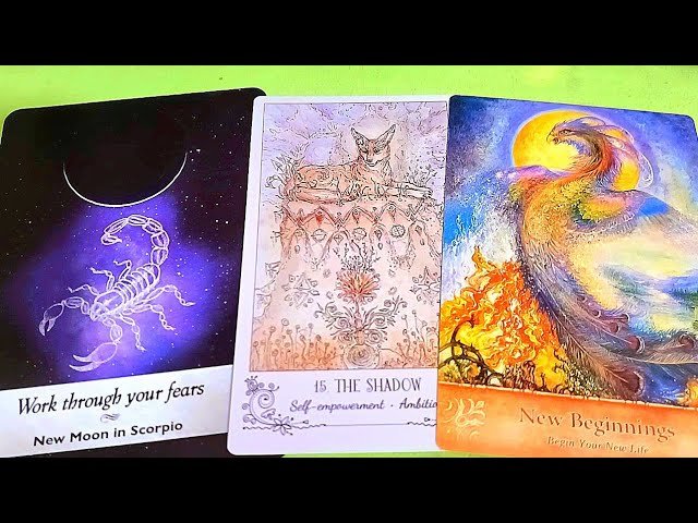 No momento, você está visualizando PHƯỢNG HOÀNG TÁI SINH SẢI CÁNH BAY ĐẸP TUYỆT VỜI / Tarot Reading