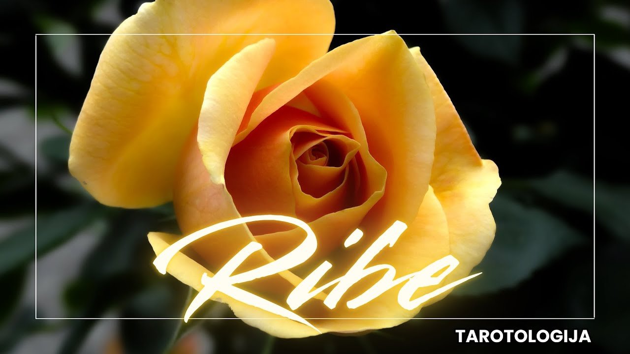 No momento, você está visualizando RIBE✨ TRENUTAK PROMENE: Tarot Poruka za Tebe! 🌙 Tarot Citanje