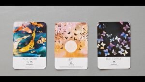 Leia mais sobre o artigo tarot: chọn tụ bài: những người hợp tần số với bạn