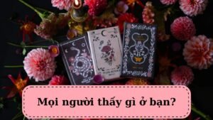 Leia mais sobre o artigo Tarot: Mọi người thấy gì ở bạn? @ChubbyTarot Tarot Reading
