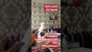 Leia mais sobre o artigo ТАРО ДНЯ СЕГОДНЯ!#таро#магия#тародня#tarot#чистка#исцеляющая#таросудьбы#таролог