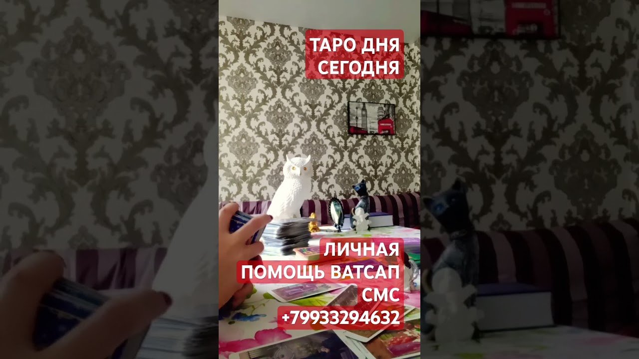 No momento, você está visualizando ТАРО ДНЯ СЕГОДНЯ!#таро#магия#тародня#tarot#чистка#исцеляющая#таросудьбы#таролог