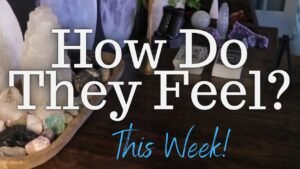 Leia mais sobre o artigo ALL SIGNS: Their FEELINGS For YOU This Week!!