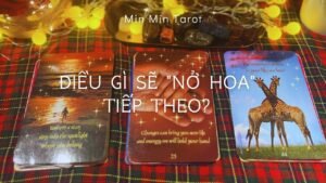 Leia mais sobre o artigo CHỌN 1 TỤ BÀI: ĐIỀU GÌ SẼ “NỞ HOA” TIẾP THEO?