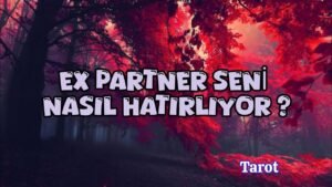 Leia mais sobre o artigo Ex partner sizi nasıl hatırlıyor ? #tarot #tarotokuma
