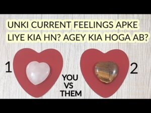 Leia mais sobre o artigo Hindi• APKE PARTNER KI CURRENT FEELINGS INTENTIONS KIA HN ? NEXT KIA KAREN GY ? TIMELESS