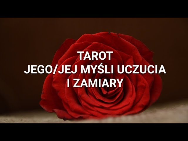 No momento, você está visualizando JEGO/JEJ MYŚLI/ UCZUCIA I ZAMIARY – TAROT 💕 JAK WYGLĄDA SYTUACJA MIĘDZY WAMI? CO DALEJ?