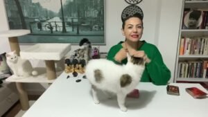 Leia mais sobre o artigo 🔮AKLINDAKİ KİŞİ İLE YAKIN SÜREÇTE NE YAŞAYACAKSINIZ? #tarot ##tarotfali #yasakaşktarotaçilimi