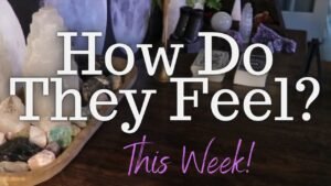 Leia mais sobre o artigo ALL SIGNS: Their FEELINGS For YOU This Week!!