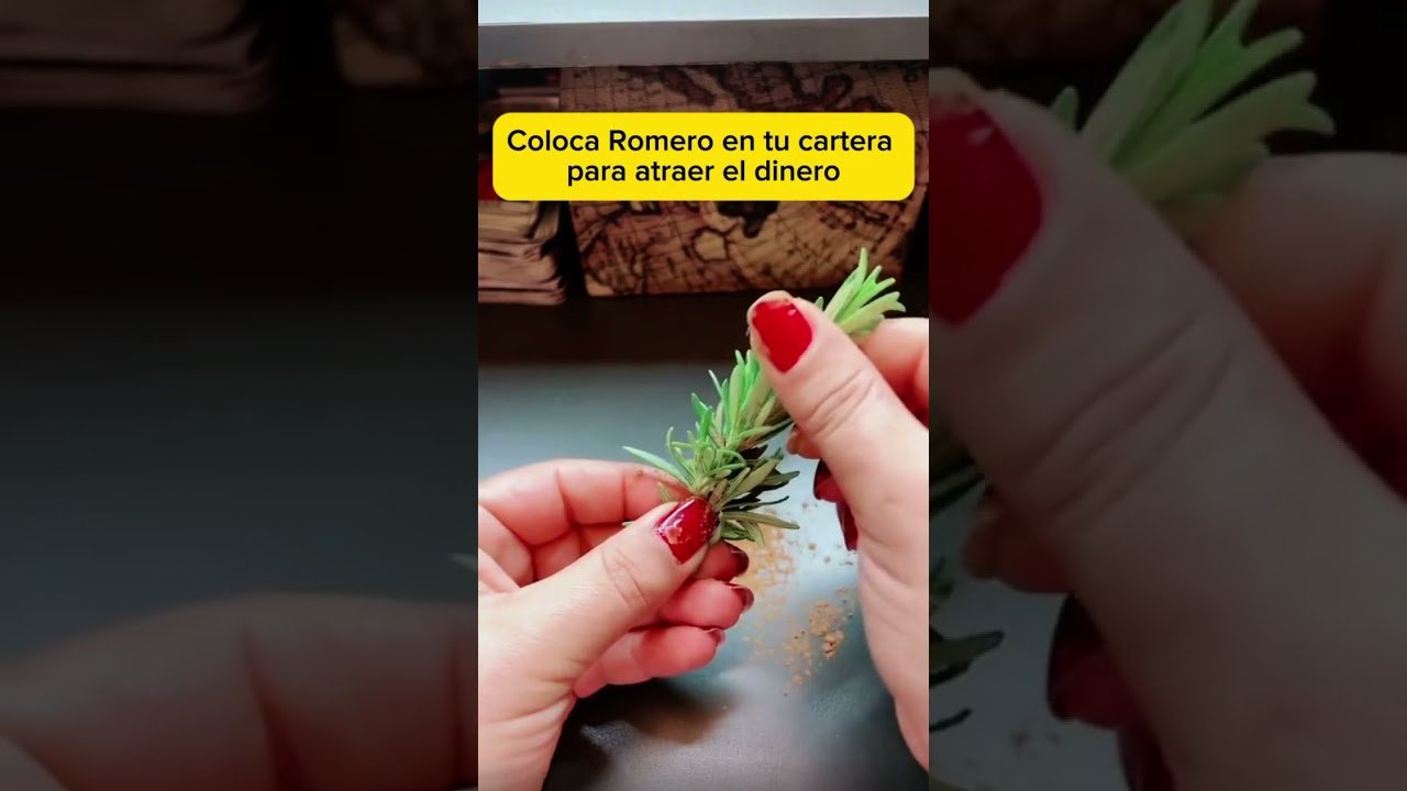 No momento, você está visualizando COLOCA ROMERO EN TU CARTERA PARA ATRAER EL DINERO. #mexico  #tarot  #luna #abundancia #usa #dinero
