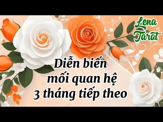 No momento, você está visualizando Diễn biến mối quan hệ 3 tháng tiếp theo | #lenatarot #tarot #tarotreading