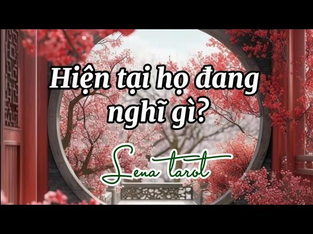 No momento, você está visualizando Hiện tại họ đang nghĩ gì? | #lenatarot #tarot #tarotreading