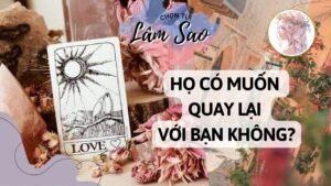 Leia mais sobre o artigo HỌ CÓ MUỐN QUAY LẠI VỚI BẠN KHÔNG? Lâm Sao Tarot đang phát trực tiếp!