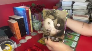 Leia mais sobre o artigo 🎉🔥❤️KARAR VERMİŞ