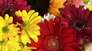 Leia mais sobre o artigo Kartlara Soruyorum? Kollektif Soru Cevap? Tarot Açılımı