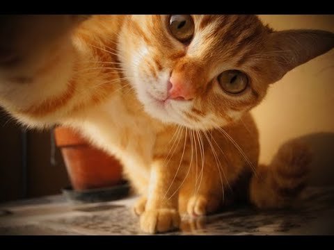 No momento, você está visualizando Năng lượng của bạn từ giờ tới Tết sẽ như thế nào?