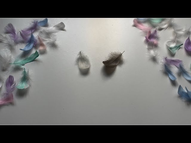 No momento, você está visualizando Poruke andjela čuvara🤍 Tarot čitanje🔮