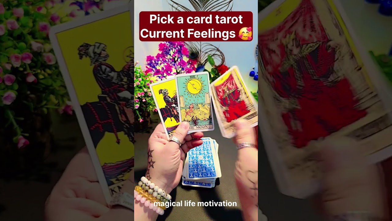 No momento, você está visualizando ❣️TAROT CARD READING – HIS/HER CURRENT FEELINGS❣️NO CONTACT LOVE TAROT🕯️CANDLE WAX READING HINDI