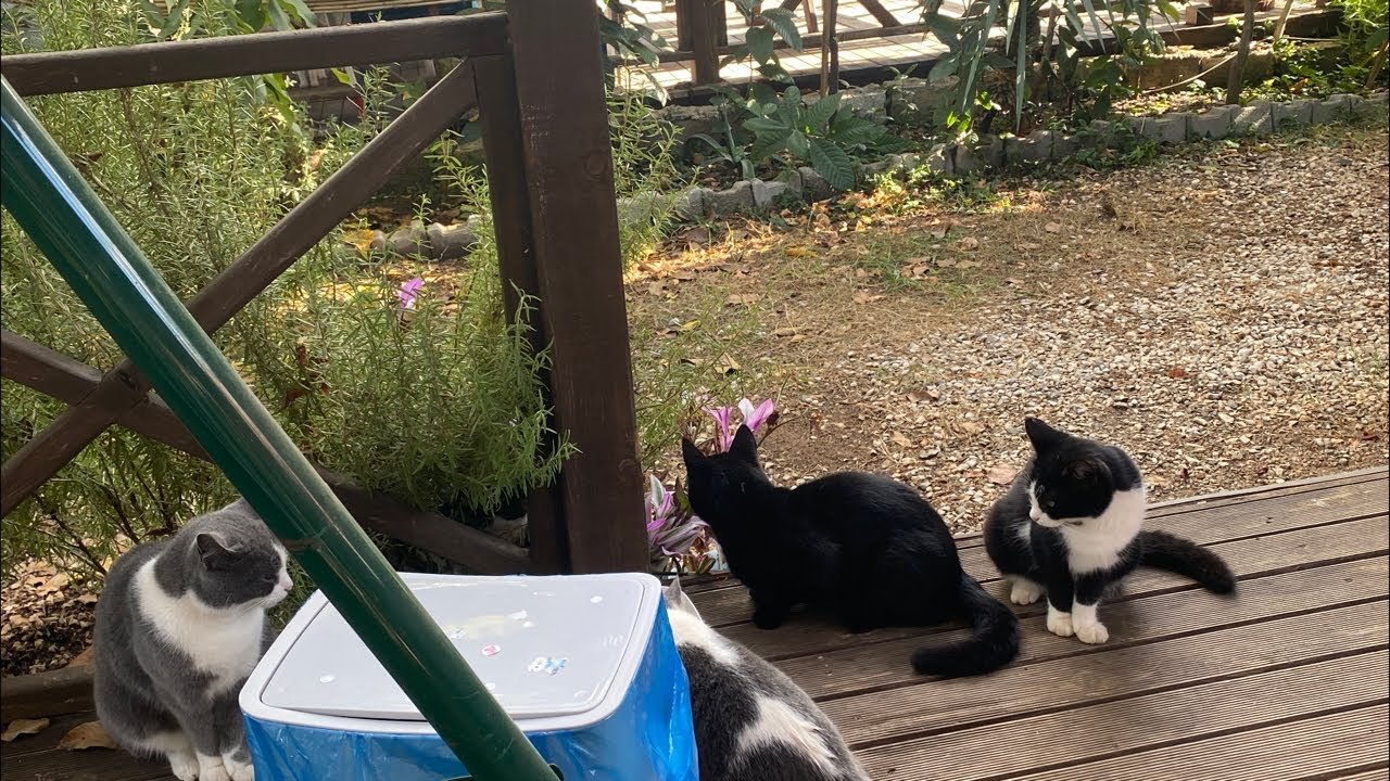 No momento, você está visualizando YOKLUĞUNDA ANLADIM SENİ, BÖYLE BİLMESEN BENİ. 🌷 Aklımdaki Kişi