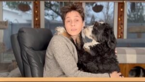 Leia mais sobre o artigo ALL SIGNS TAROT ✨ CURRENT ENERGIES CHECK IN,No Clarification (Weekend, DECEMBER 6TH – 8TH)