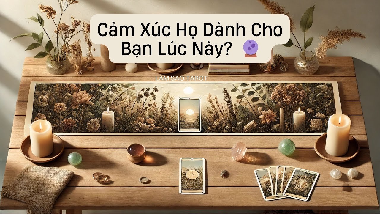 No momento, você está visualizando Cảm Xúc Họ Dành Cho Bạn Lúc Này Là Gì? | Trải Bài Tarot Chính Xác Cùng Lâm Sao Tarot