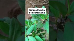 Leia mais sobre o artigo Kenapa Mereka membenci kamu #shorts #shortvideo #tarot #tarotreading