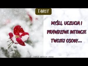 Leia mais sobre o artigo ⛄️MYŚLI, UCZUCIA I PRAWDZIWE INTENCJE TWOJEJ OSOBY…⛄️ #tarot #bliźniaczepłomienie #kartynamiłość
