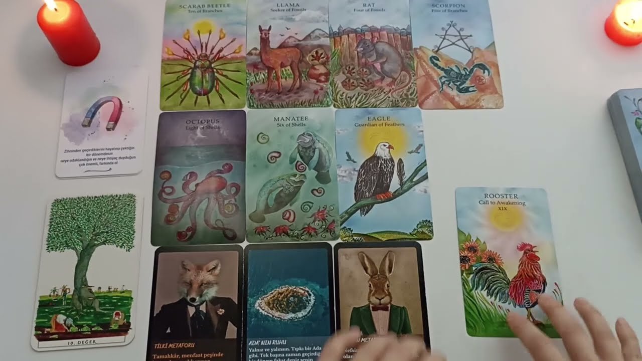 No momento, você está visualizando Şu Andaki En Gerçek Hisleri Tarot