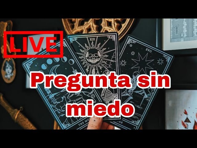 No momento, você está visualizando Tarot en vivo #tarot #tarotreadings #tarotonline