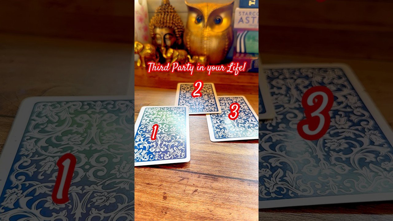 No momento, você está visualizando ✨Your Soul know this already! #tarot #malayalamtarot #lovereading #soul #tarotreading #relationship