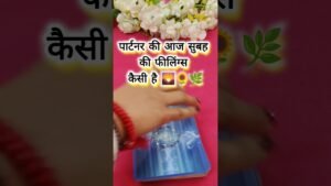 Leia mais sobre o artigo पार्टनर कि आज सुबह कि फीलिंग्स से है 🌄🌻🌞tarot card reading today 💫#shorts #tarot