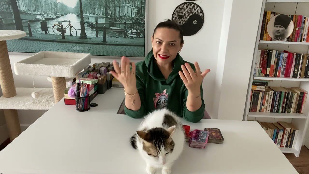 No momento, você está visualizando ♥️AKLINDAKİ KİŞİ İLE ARZU ETTİĞİN TAMAMLANMA OLACAK MI ? -#tarot #aklımdakikişitarot #tarotacilimi