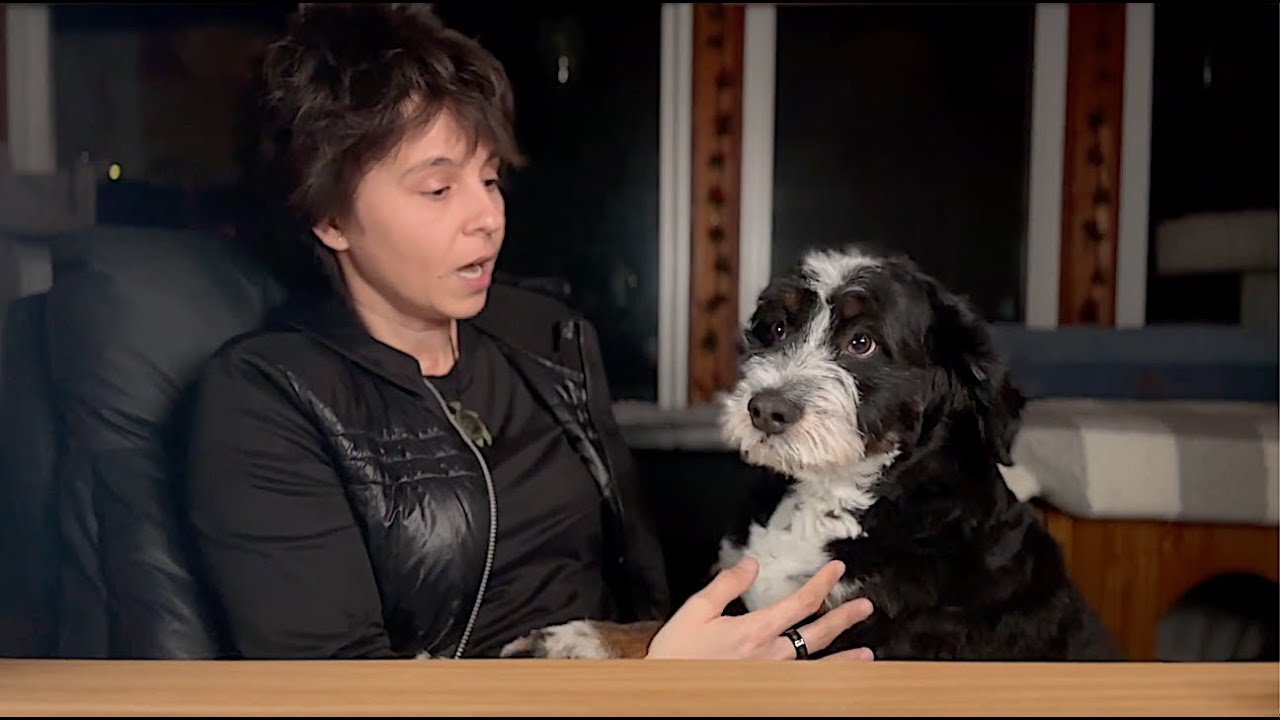 No momento, você está visualizando ALL SIGNS TAROT ✨ CURRENT ENERGIES CHECK IN,No Clarification (Weekend, JANUARY 24TH – 26TH)